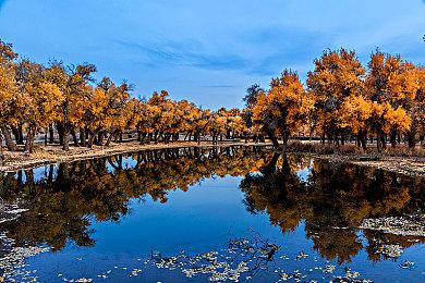 《自由战争：复刻版》之后有望开发正统续作